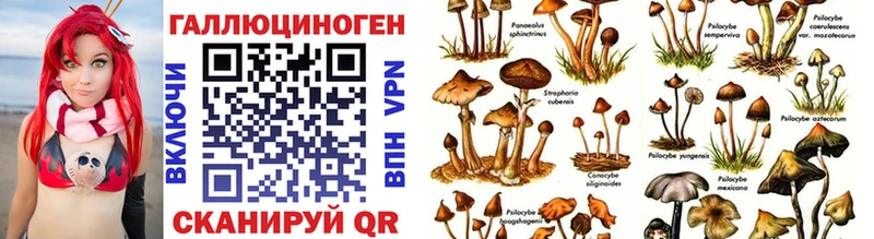 МЕГА как зайти  Сибай  Псилоцибиновые грибы GOLDEN TEACHER 